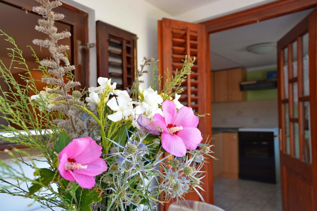 Apartments Joza Vir Εξωτερικό φωτογραφία